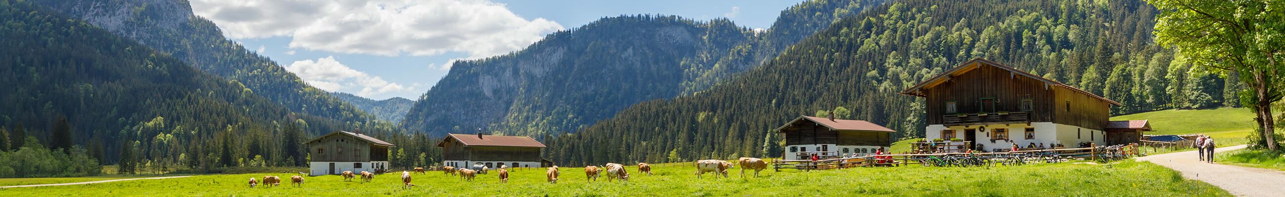 Urlaub mit Bergblick im Chiemgau